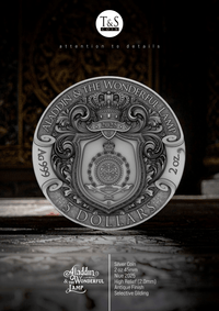 Silver coin with detailed design on a dark background, featuring 'Aladdin & The Wonderful Lamp' branding.