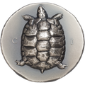 2020 Tortoise 5 oz $25 Silver Coin MS 70 - OZB