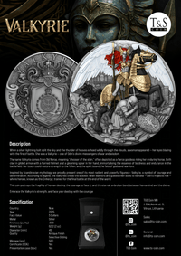 VALKYRIE 2 oz Silver Coin - 5 Dollars Niue 2025 - T&S Coin