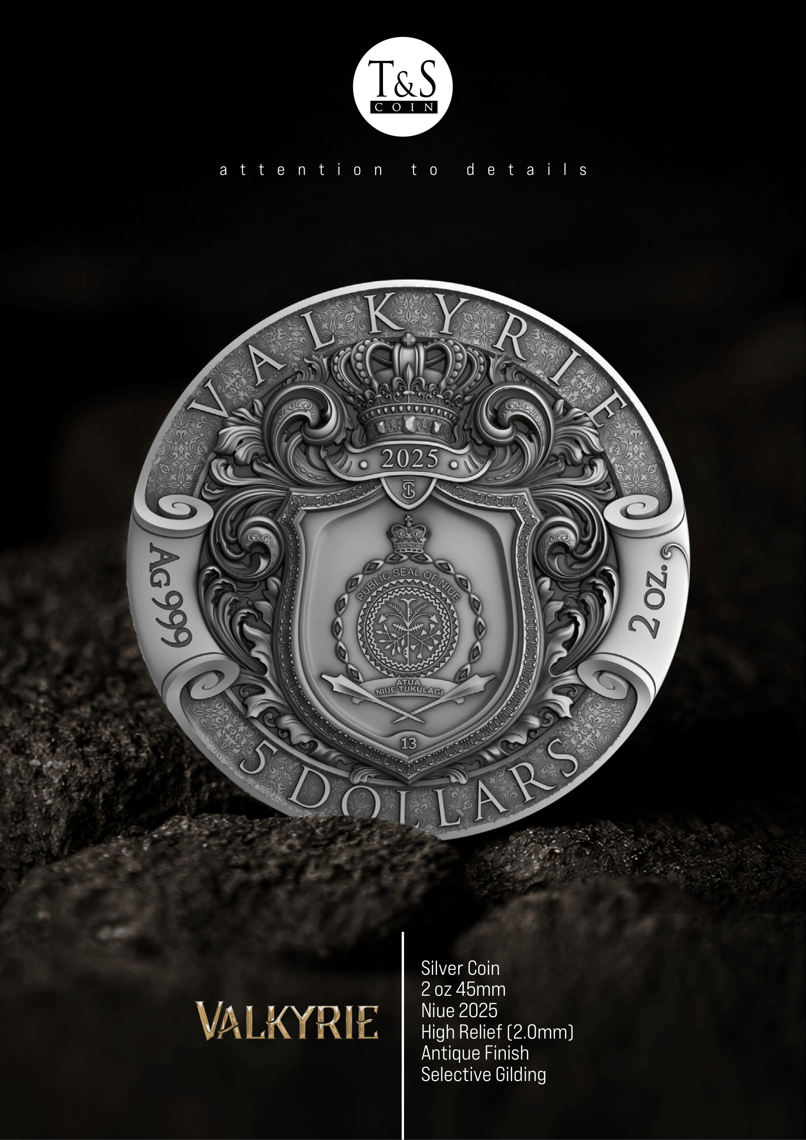 VALKYRIE 2 oz Silver Coin - 5 Dollars Niue 2025 - T&S Coin
