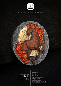 Decorative plaque with a horse design on a dark background, featuring the brand 'T&S'.