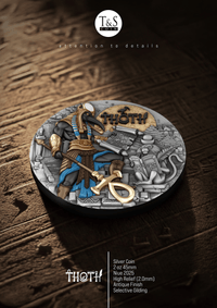 Silver coin with detailed design on a wooden surface, featuring the brand 'T&S Coins'.