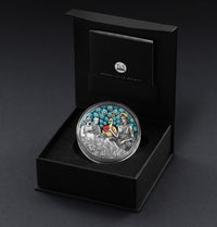 Silver coin with detailed design in a black box on a dark background